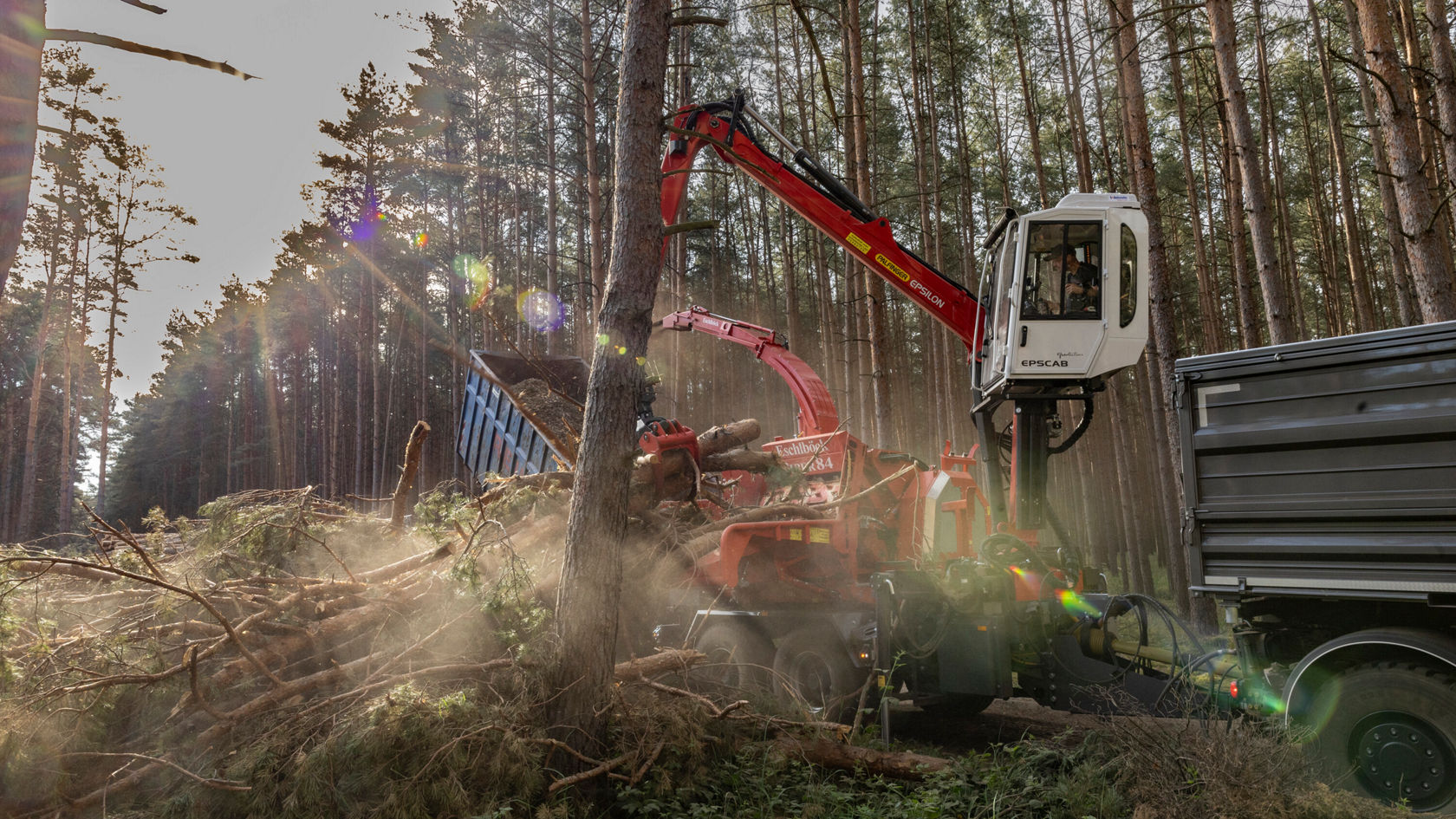 Un véhicule d'exploitation forestière Mercedes‑Benz coupe un arbre dans la forêt, tandis qu'un ouvrier surveille le bois. La poussière et la lumière du soleil créent une atmosphère dynamique.