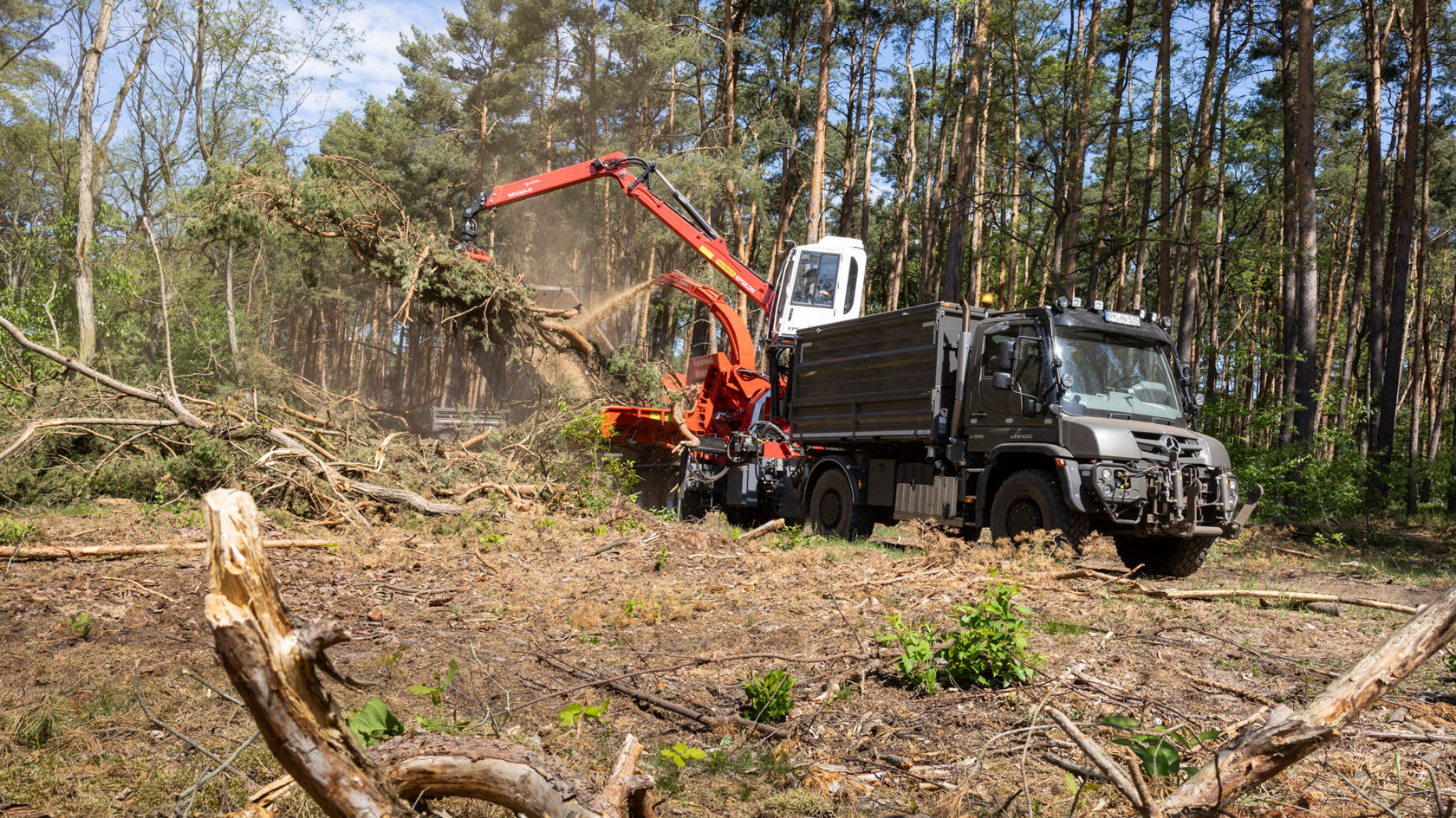 Un Unimog Mercedes-Benz travaille dans une forêt ; il charge des branches et des débris d'arbres à l'aide d'une grue. La zone dépourvue d'arbres montre les activités d'entretien forestier.