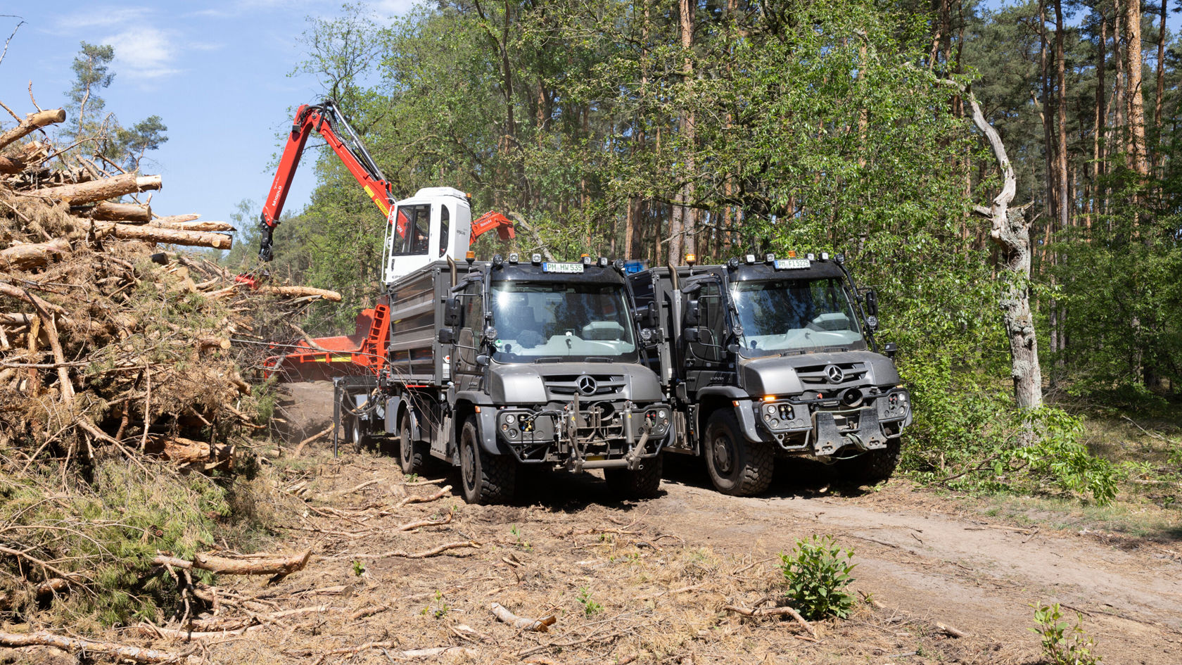 Deux camions Mercedes-Benz sont stationnés sur un chemin forestier à côté d'un tas de bois, tandis qu'une grue charge des troncs. Le site témoigne d'une récolte de bois active.