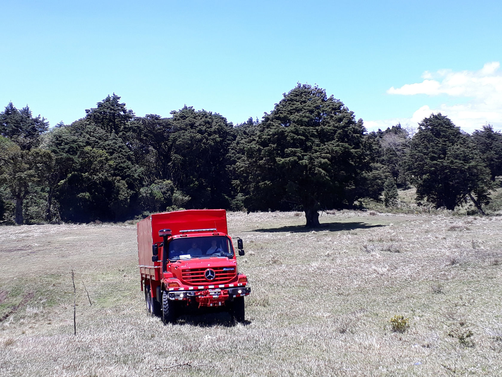 Un camion Mercedes‑Benz rouge se trouve dans une prairie ouverte, entouré de grands arbres. Le véhicule est puissant et robuste, idéal pour différentes missions en pleine nature.