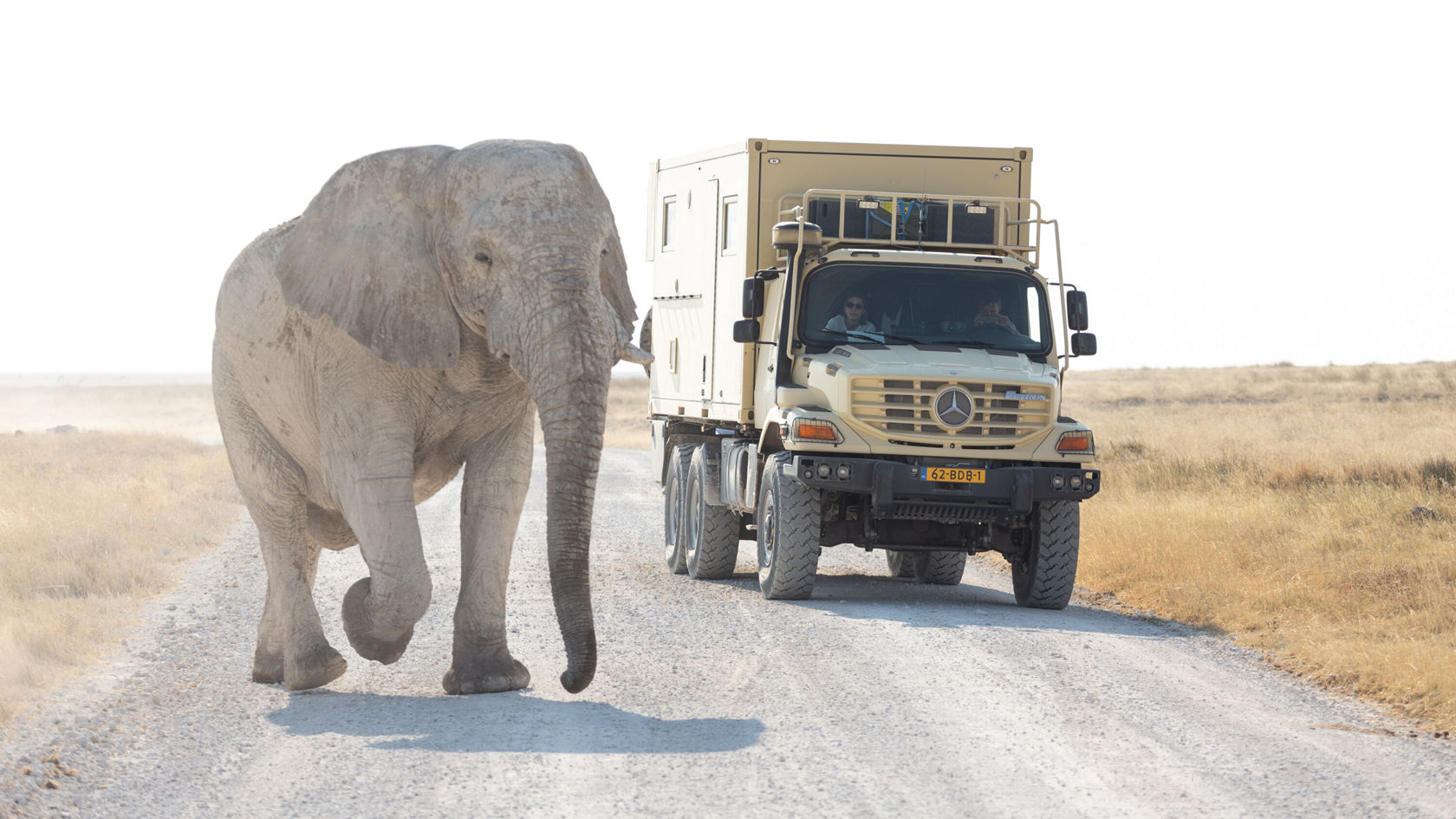 Elefant neben Zetros.
