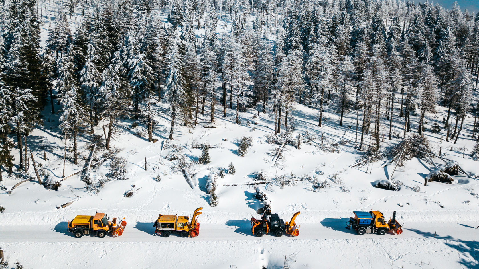 A Unimog U 84 (1979), a U 2400 (1995), a U 400 (2004) and a brand-new Unimog U 429 (2018).