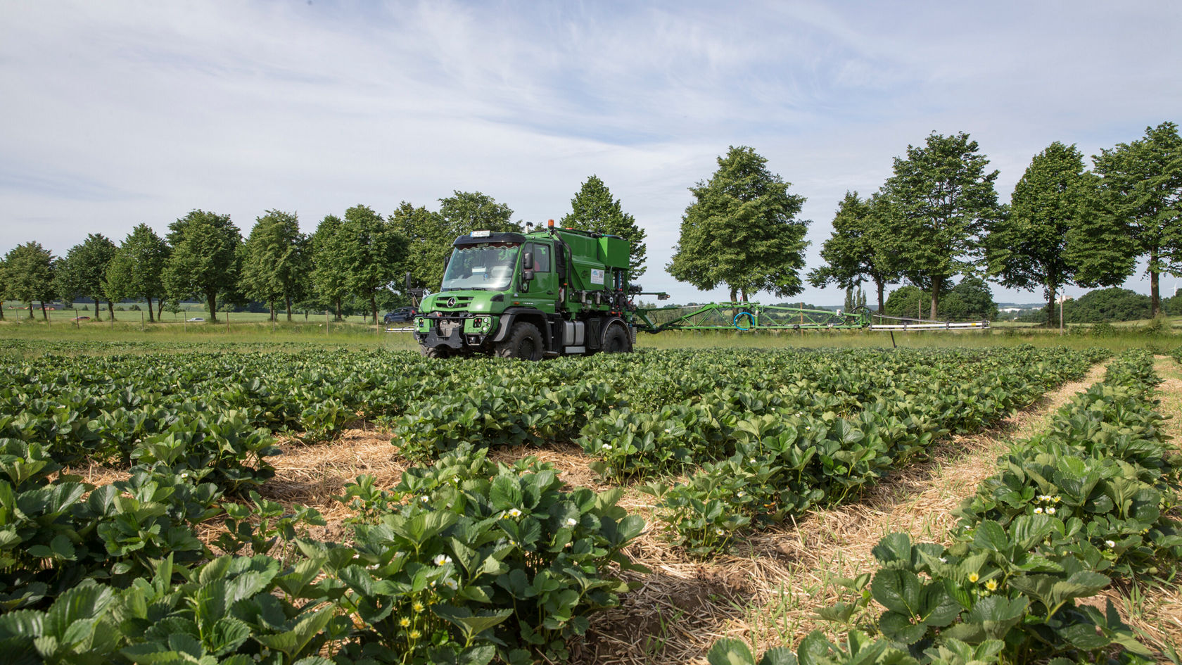 A Unimog stands in a field.