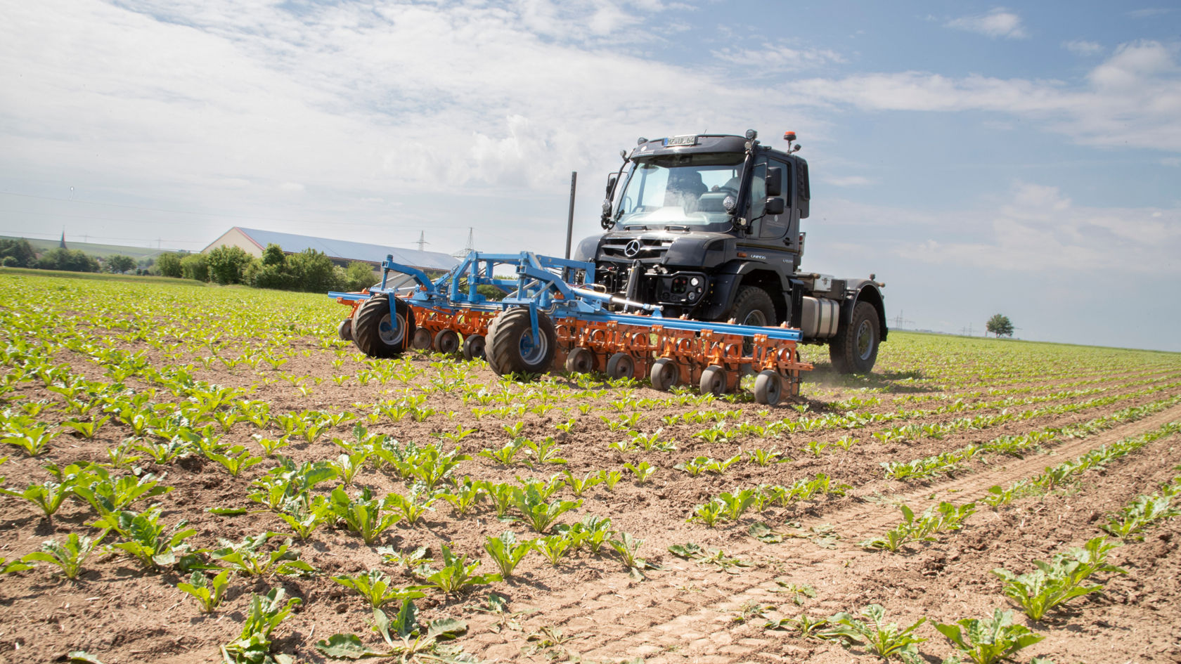 A black Unimog pushing an orange soil cultivator with several rotating parts across a field of young plants. In the background you can see a field, a building, electricity pylons and trees.