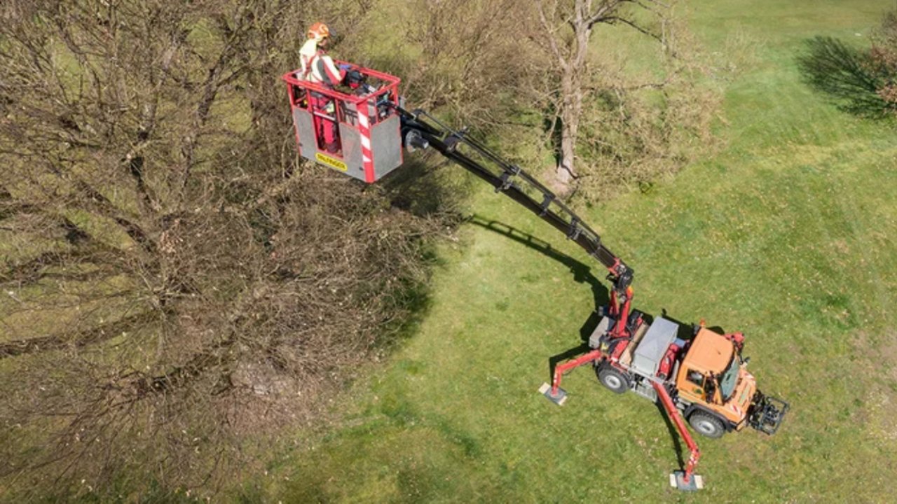 The aerial view (from a bird’s-eye perspective) shows an orange Unimog with an extended black crane arm. A person in work clothes is inside the work cage of the crane arm, positioned high up in a tree. The vehicle is parked on a green meadow.