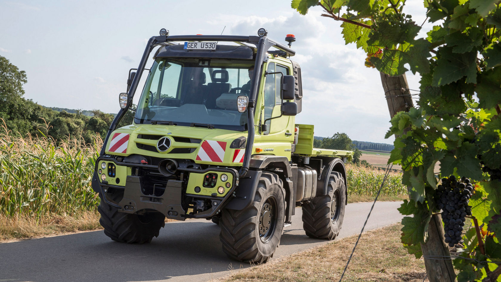  A light green Unimog driving along a road with vines growing alongside. In the background is a field with corn plants. The truck has an open loading area and big tyres.