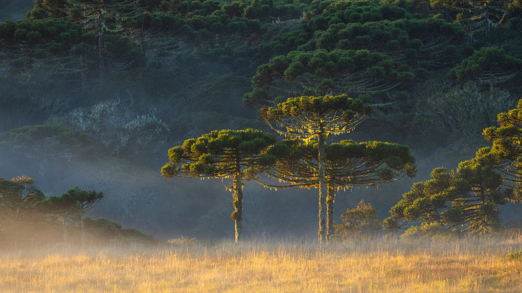  an-adventurous-year-comes-to-an-end