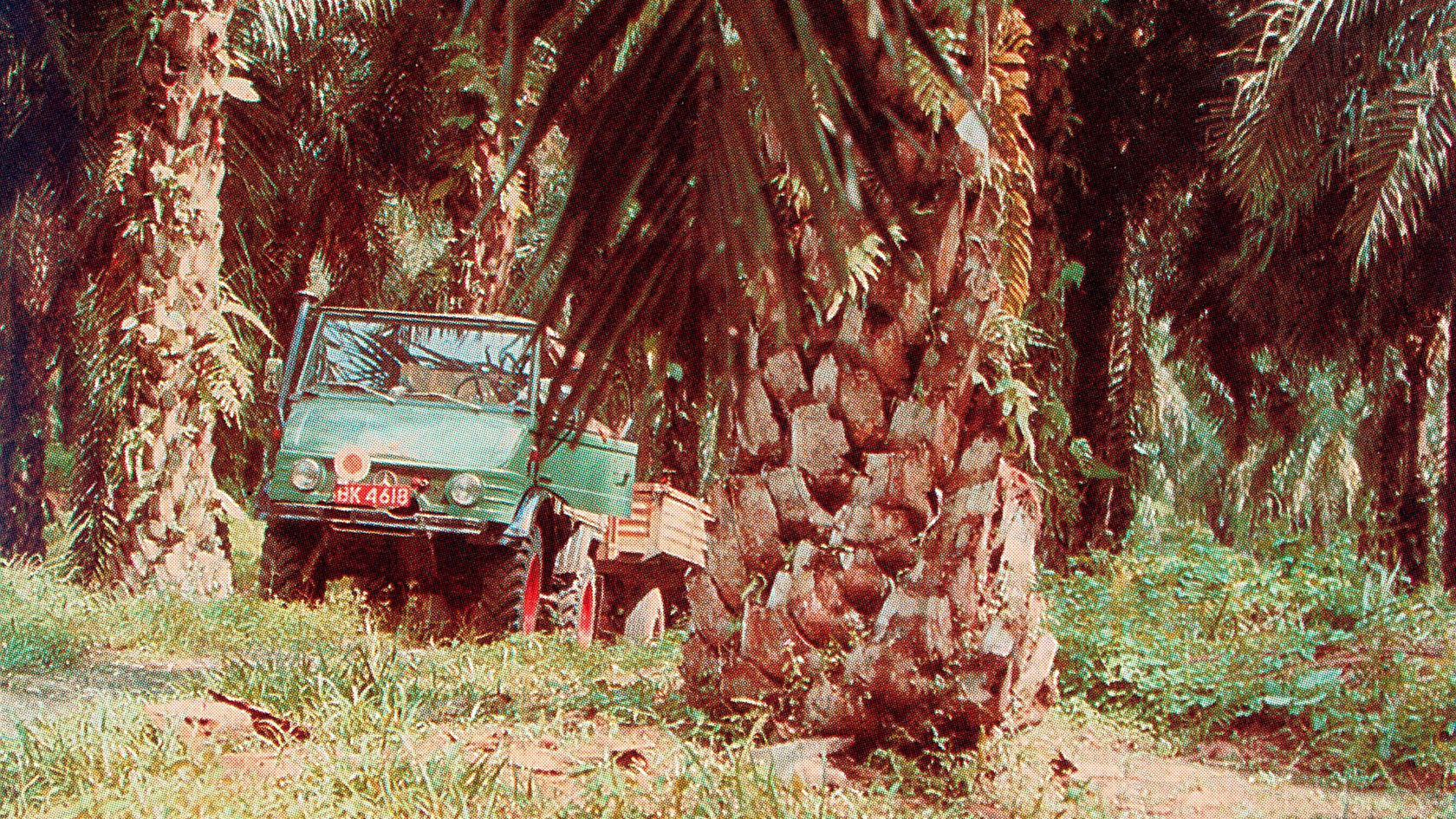 A Mercedes-Benz Unimog in a plantation, surrounded by tall palm trees and lush greenery, stands on unpaved ground. The truck is painted green and has an open cargo bed.