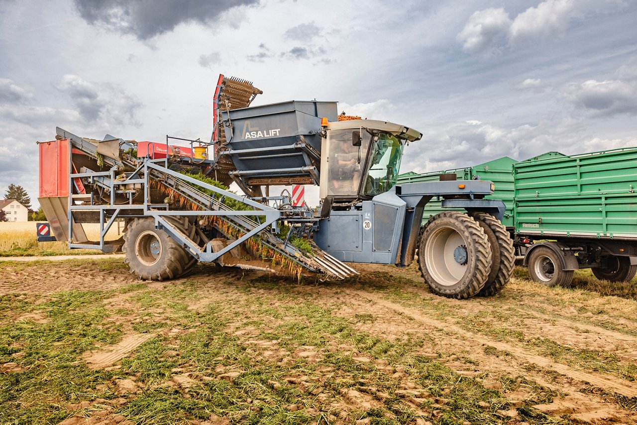 Ein landwirtschaftliches Erntefahrzeug von ASA-Lift, das Grünkohl erntet. Es steht auf einem Feld neben einem grünen Lkw mit Anhänger.