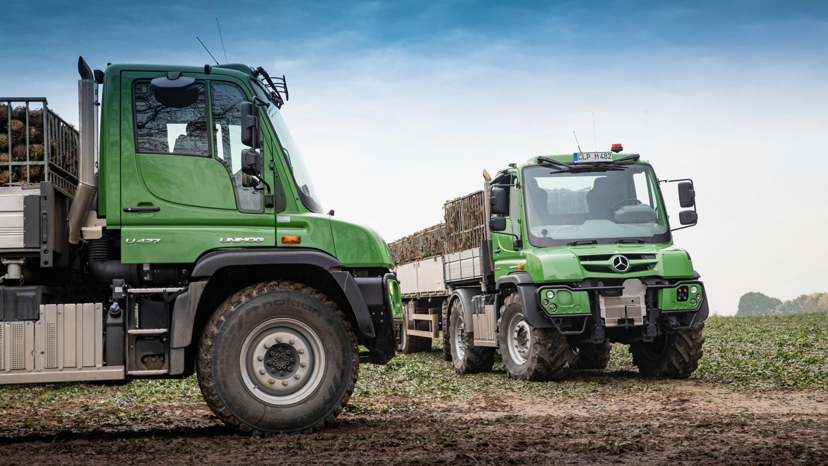 Deux véhicules utilitaires Mercedes‑Benz verts sont dans un champ, prêts pour le transport de produits agricoles. Les véhicules sont robustes et polyvalents.