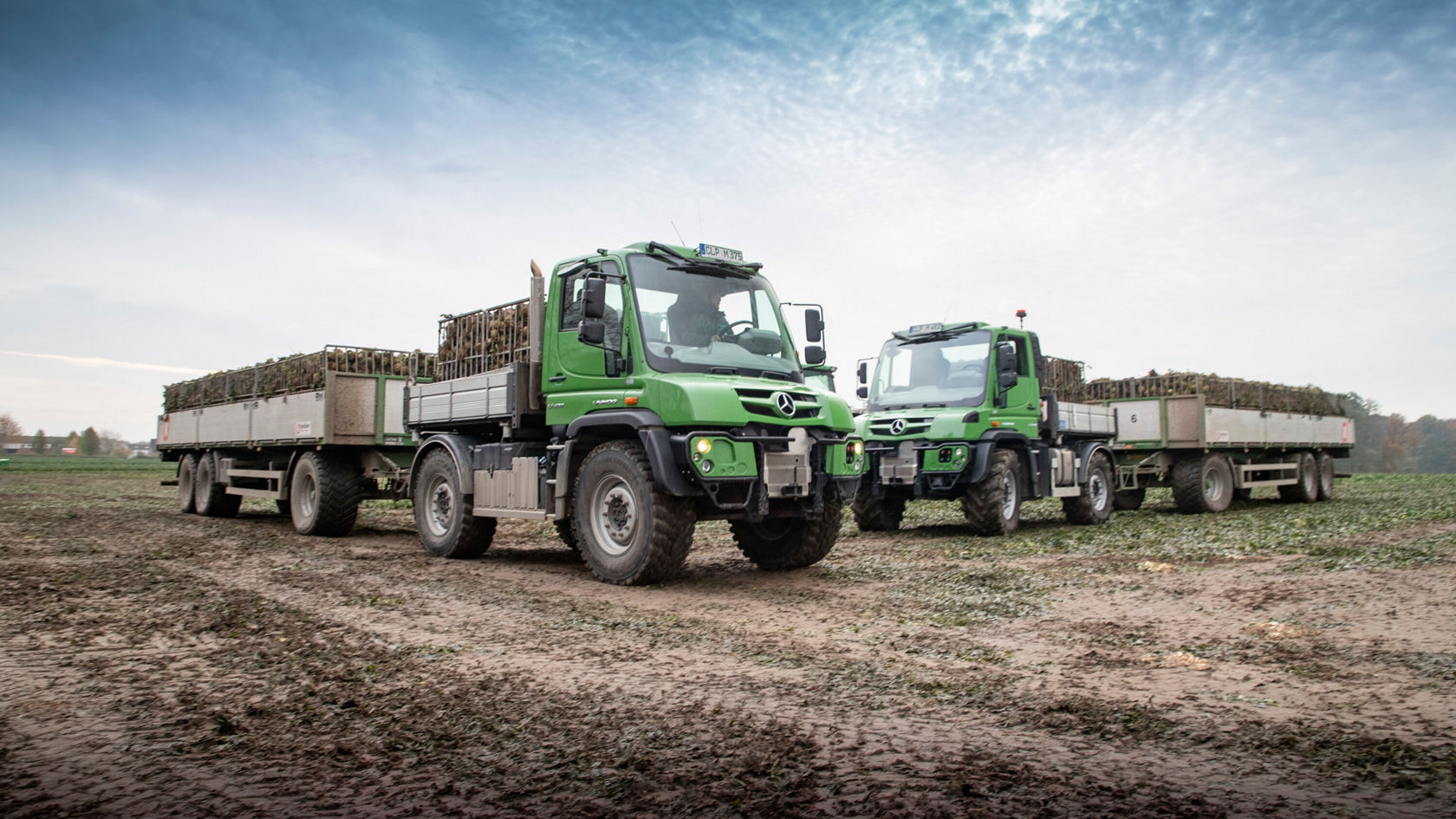 Twee groene Mercedes‑Benz Unimog staan op een veld, beladen met grote oogstmanden. De voertuigen zijn robuust en klaar voor landbouwactiviteiten.