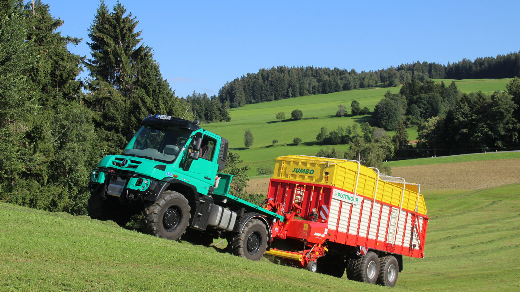 Los Grascobs del Allgäu