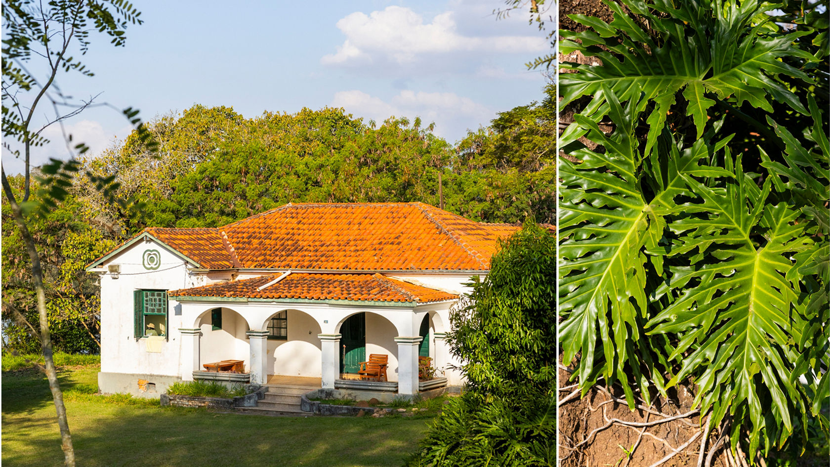 v-srdci-státu-sao-paolo