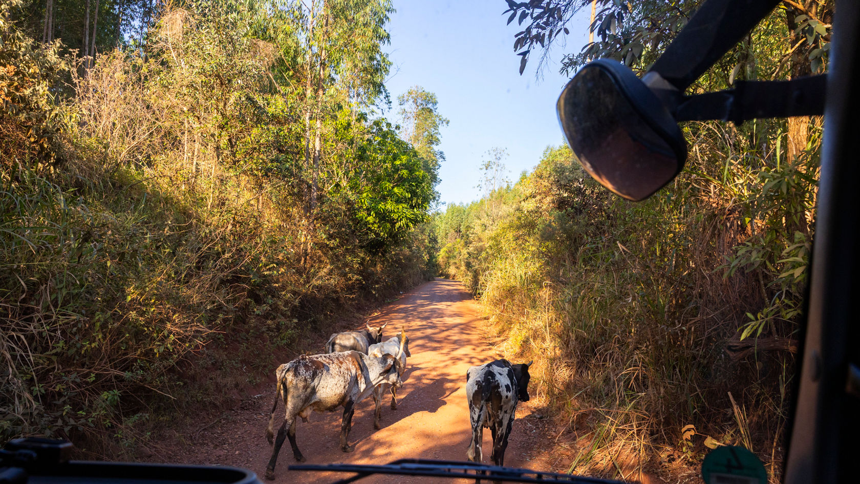 v-srdci-státu-sao-paolo