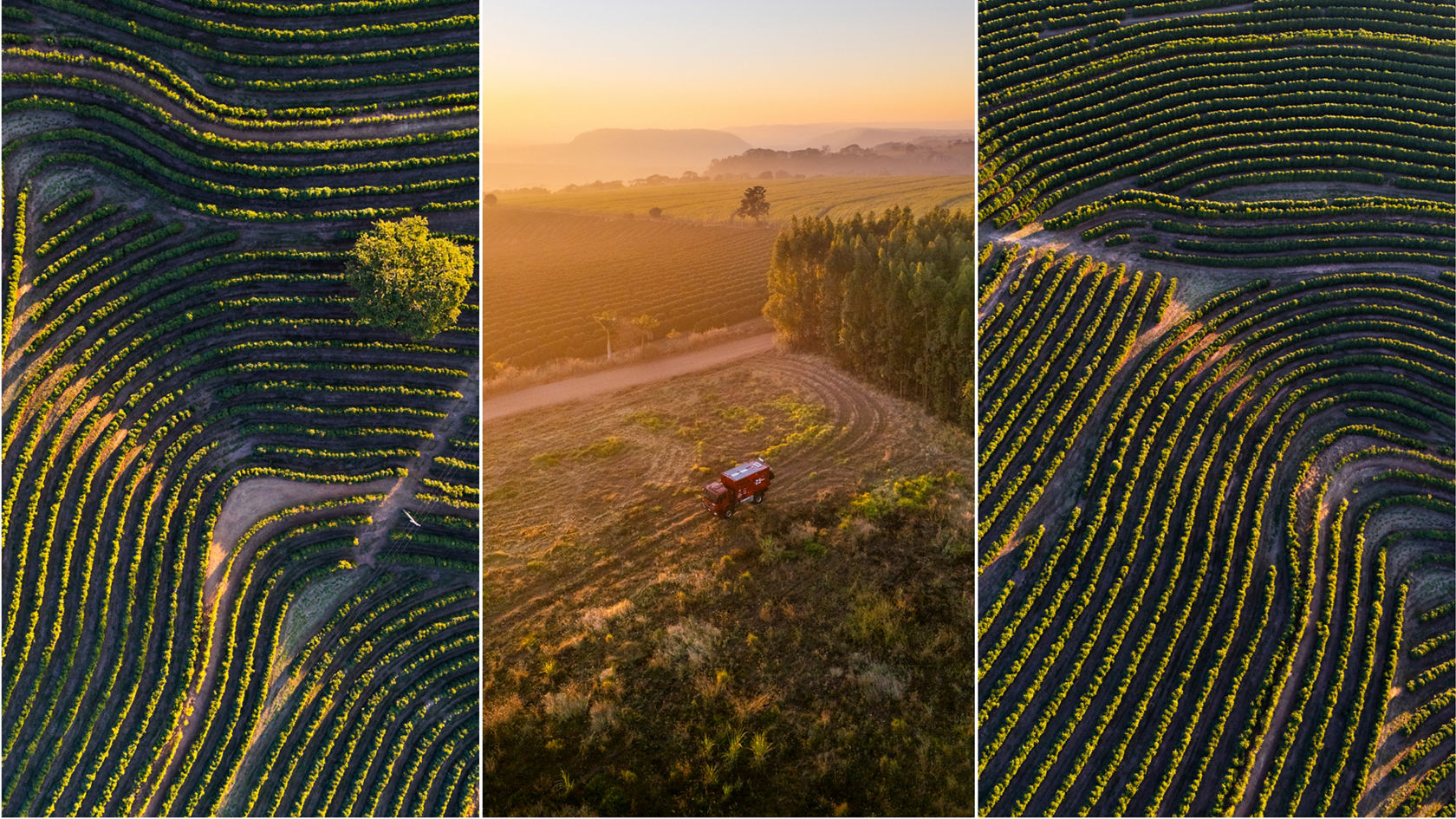 v-srdci-státu-sao-paolo