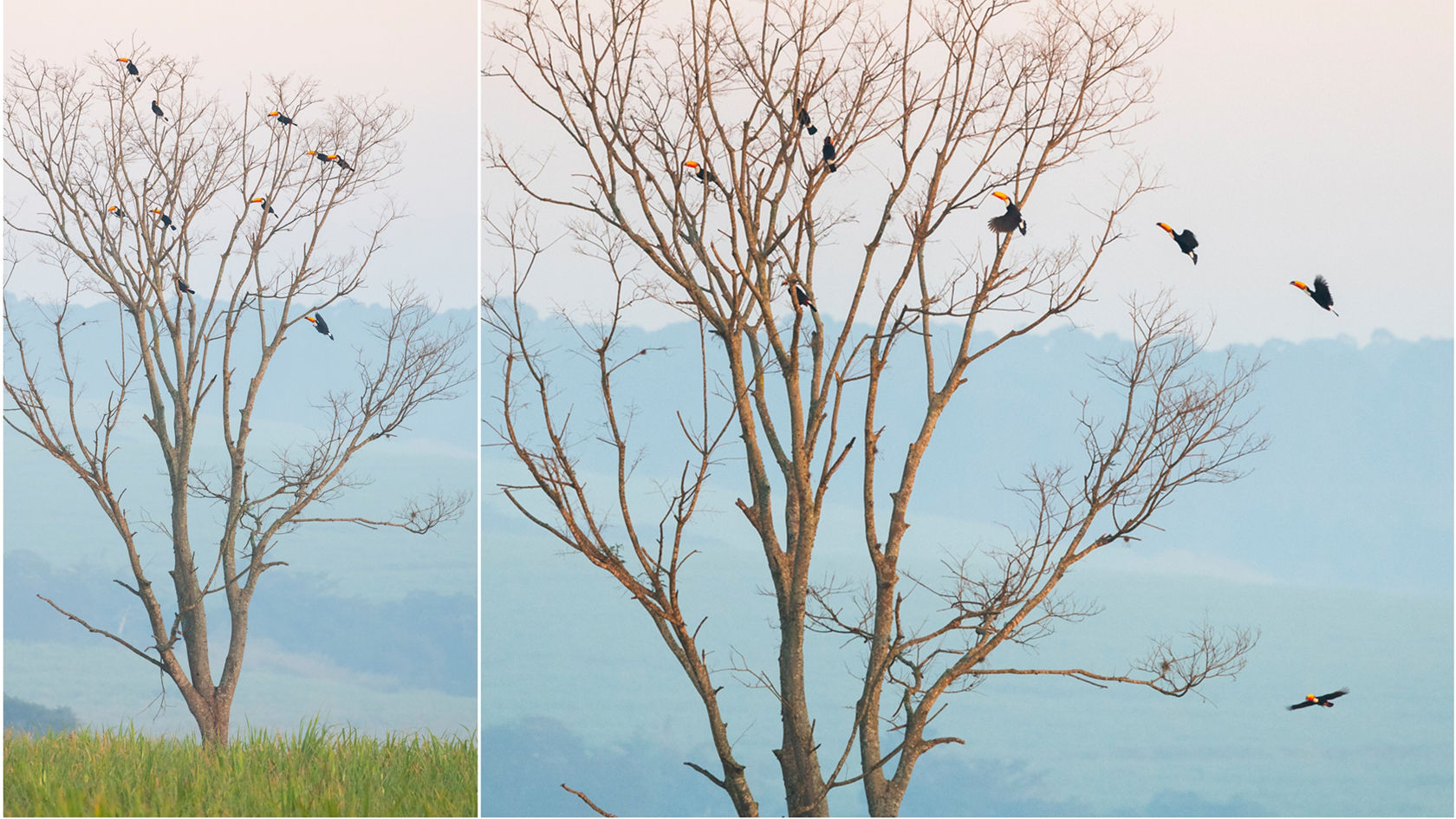 v-srdci-státu-sao-paolo