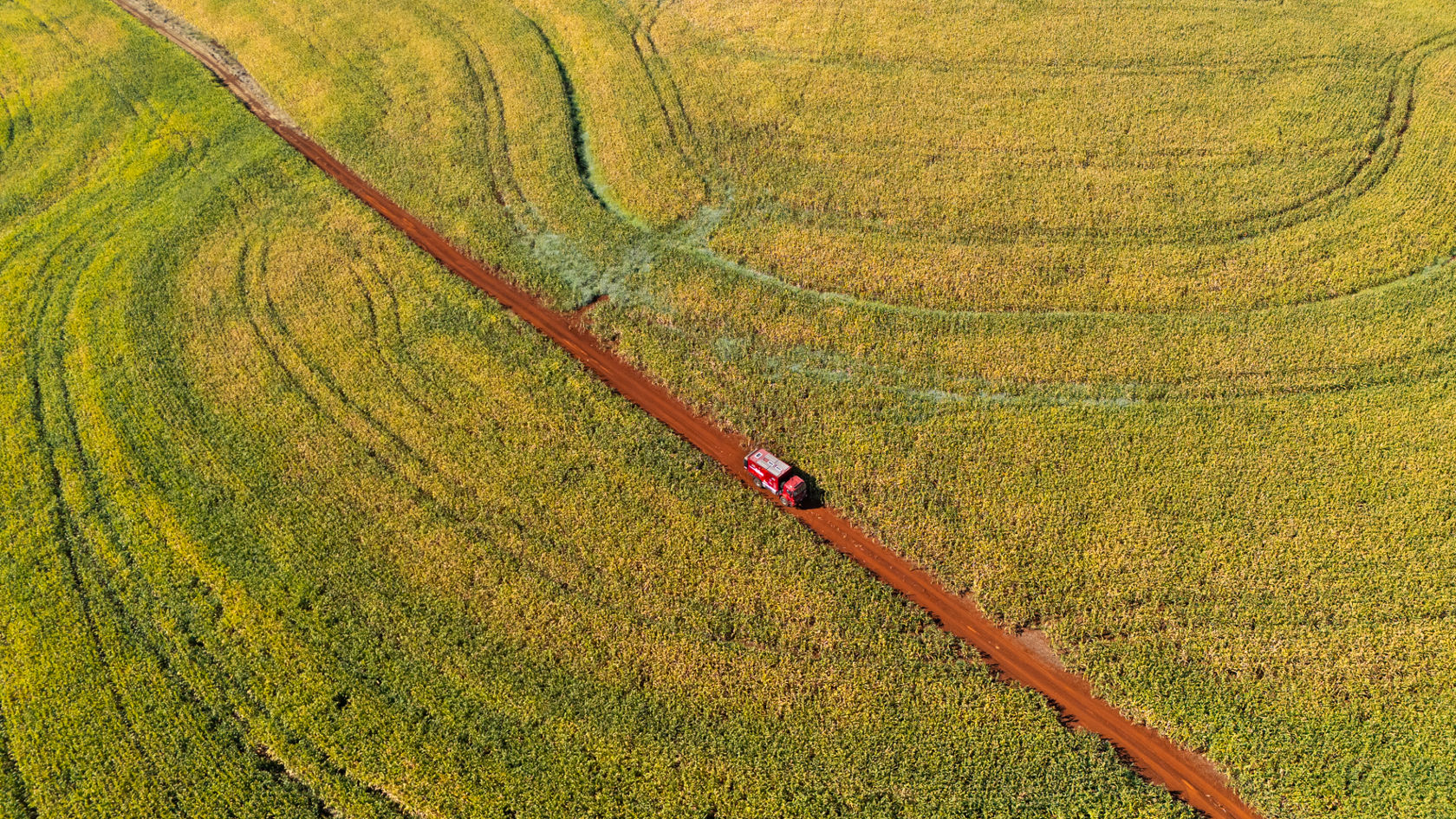 v-srdci-státu-sao-paolo