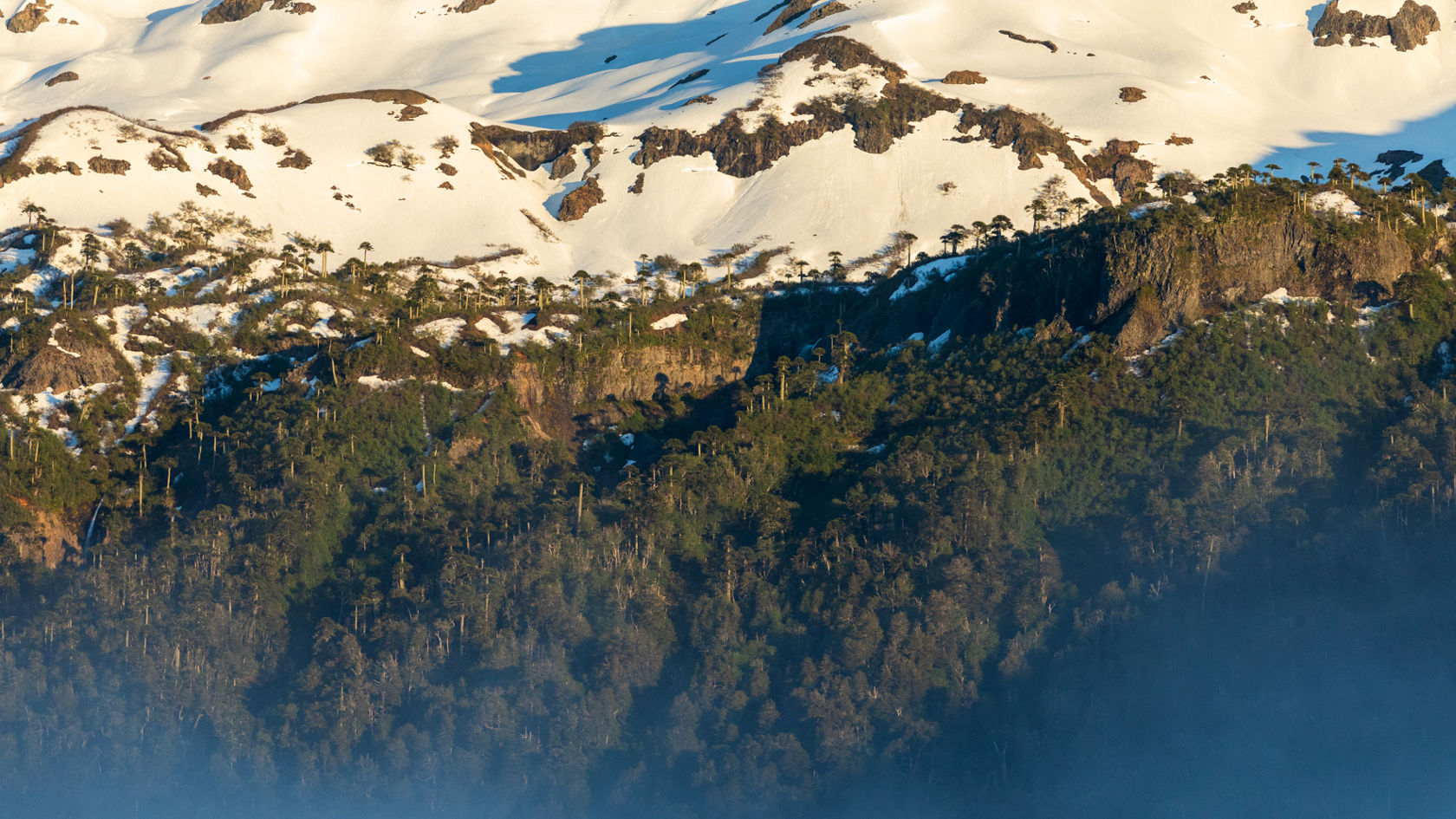 4-XTREMES – PARTE 75: Laghi, vulcani e alberi enormi