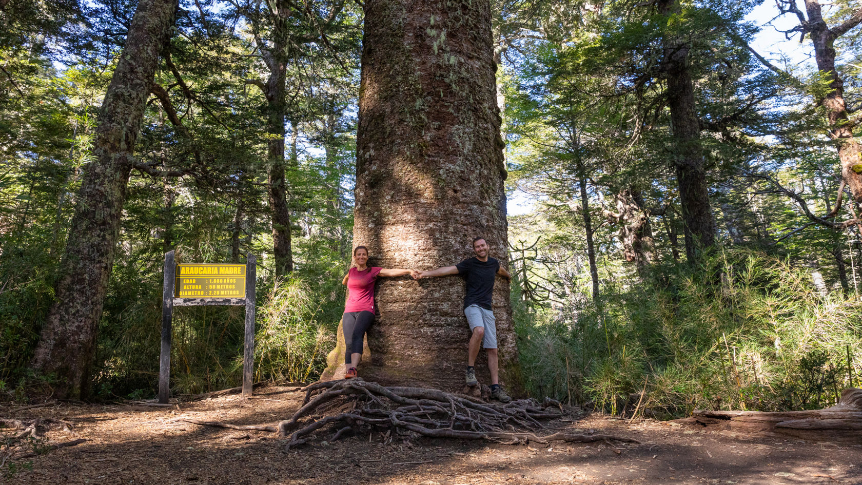 4-XTREMES – DEEL 75: Meren, vulkanen en reusachtige bomen