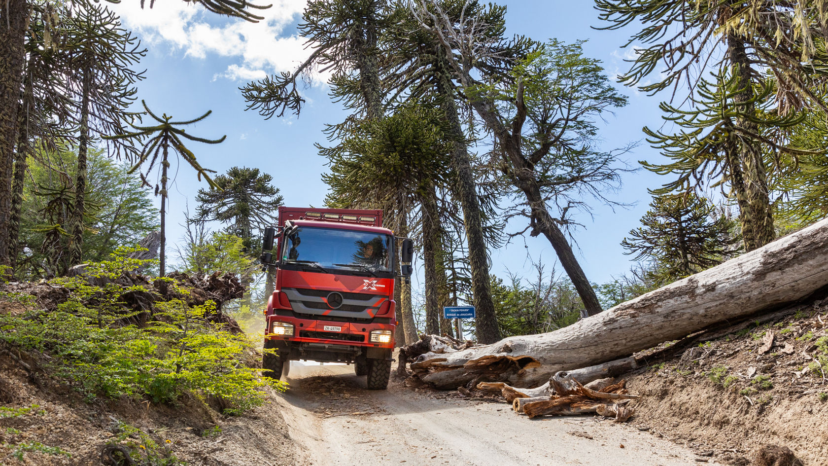 4-XTREMES – DEEL 75: Meren, vulkanen en reusachtige bomen