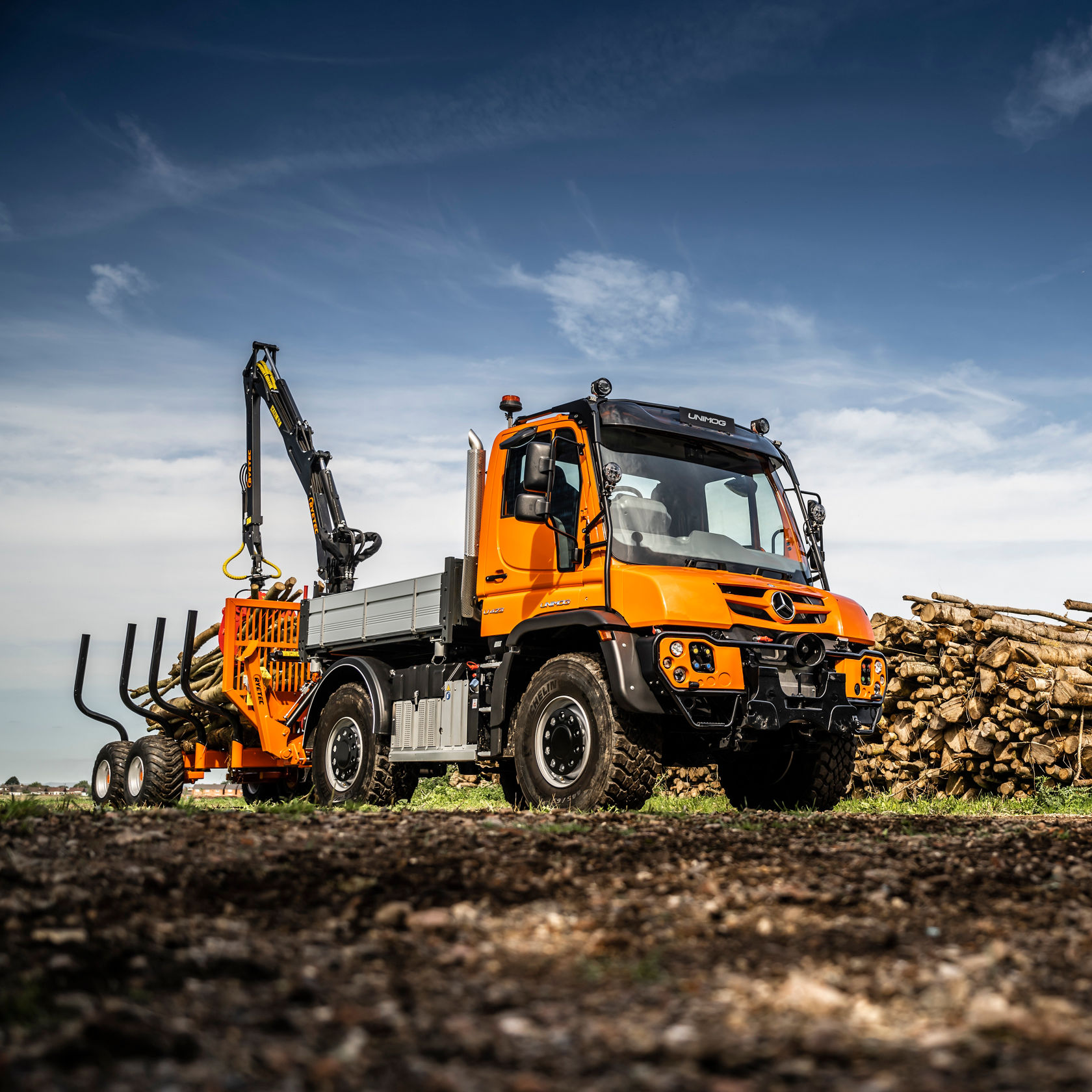 Forestry