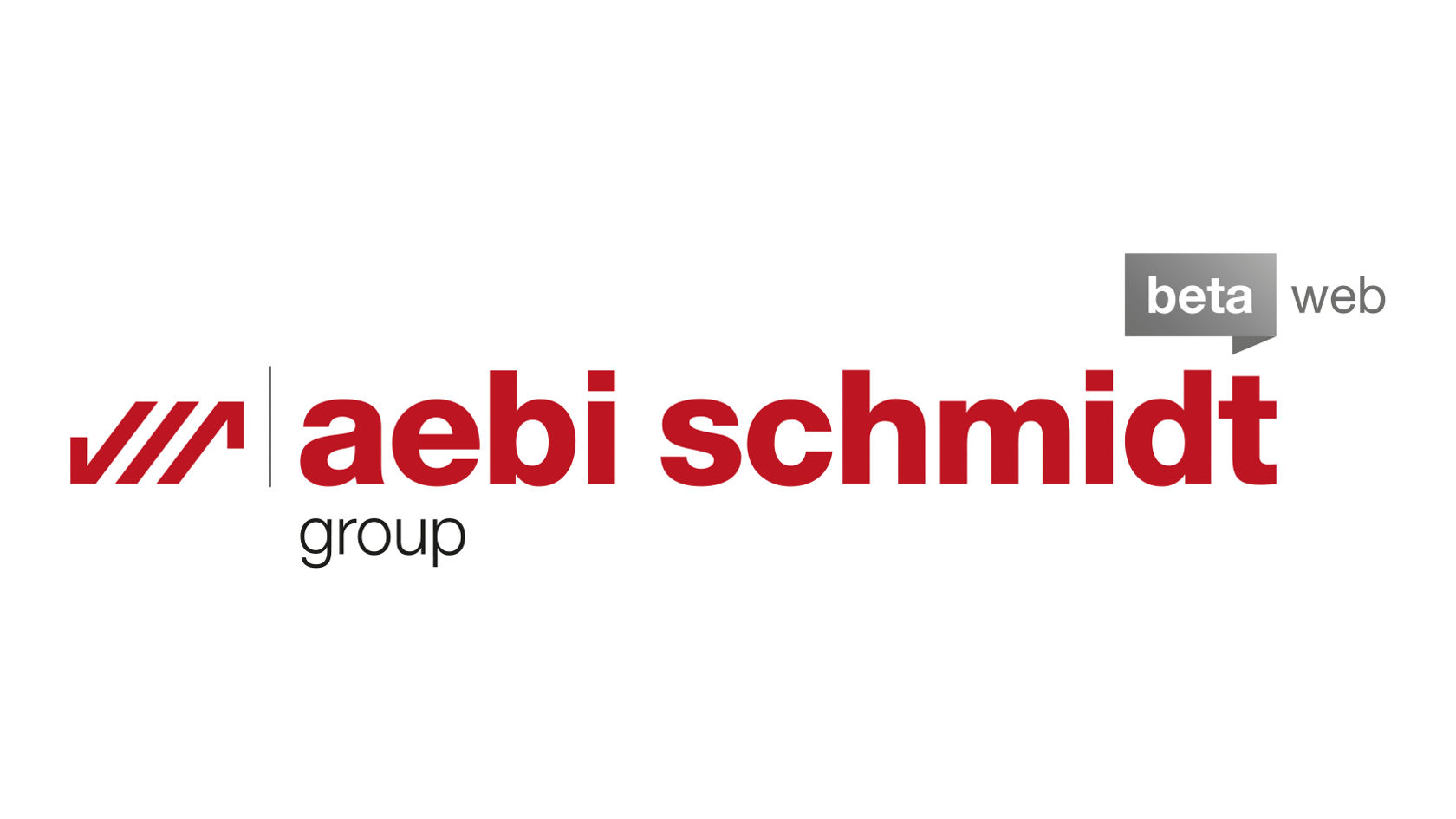 Aebi Schmidt Deutschland GmbH