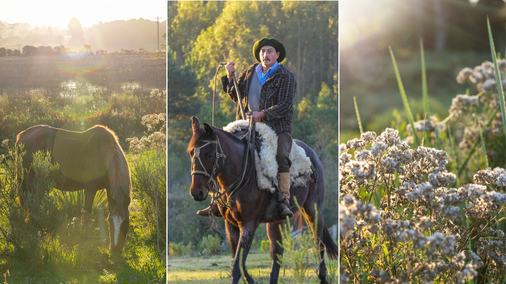 onderweg-door-Brazilië