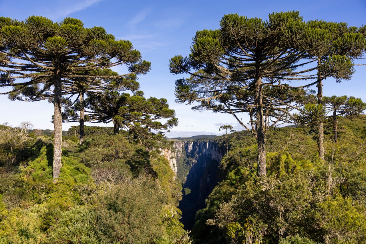 onderweg-door-Brazilië