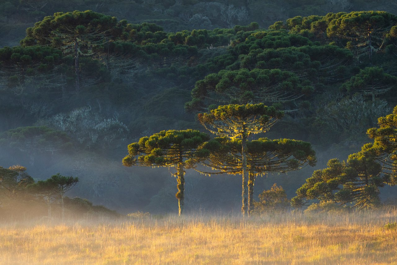 onderweg-door-Brazilië