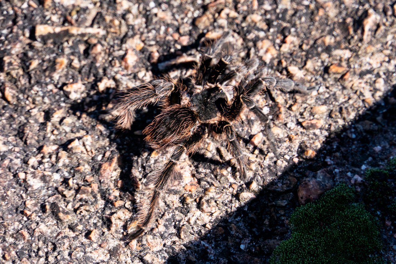onderweg-door-Brazilië