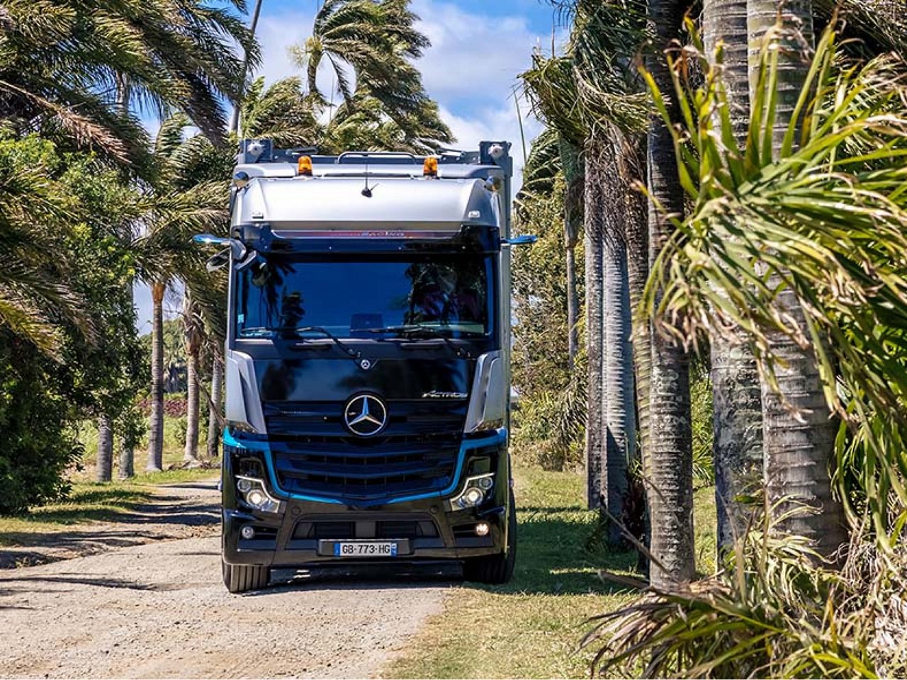 Camions entre palmiers.