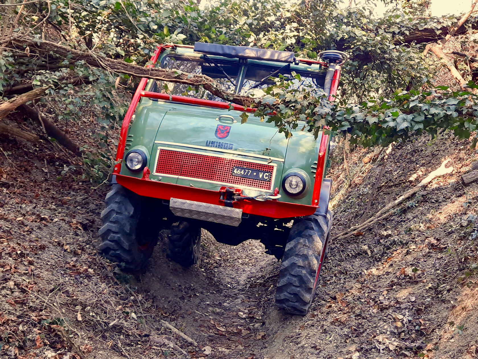 Ein Mercedes-Benz Unimog fährt durch ein unwegsames Gelände, umgeben von Bäumen und Gestrüpp, während er eine steile Senke hinauffährt.