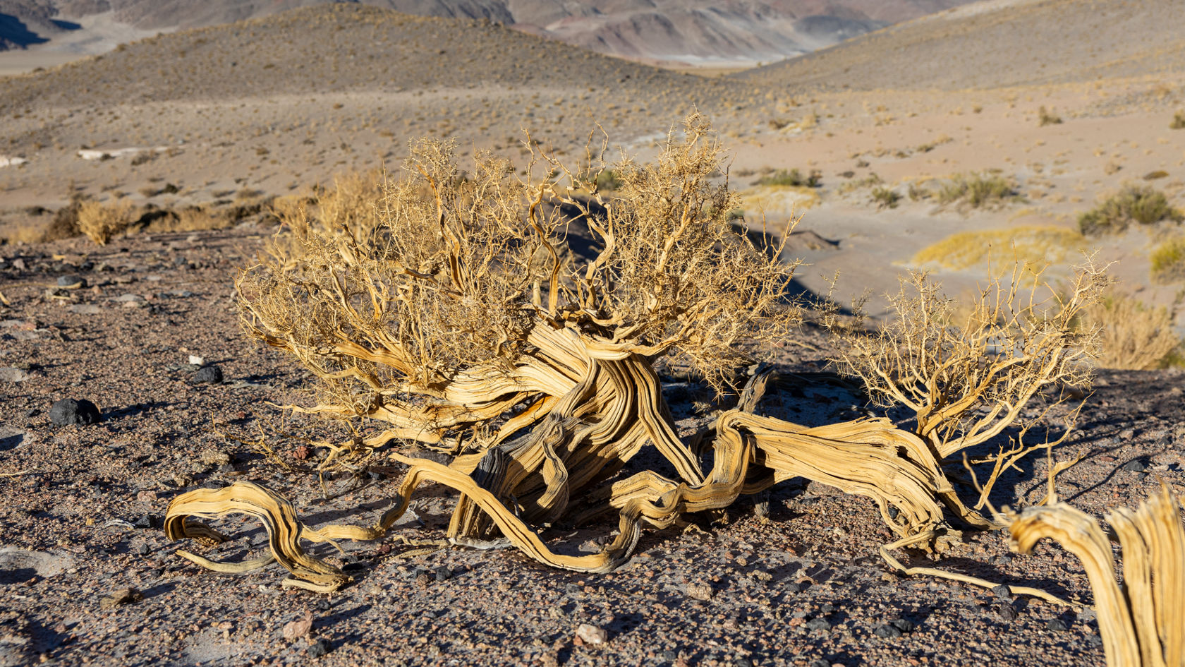 4-Xtremes – Part 82: Through the heart of Argentina
