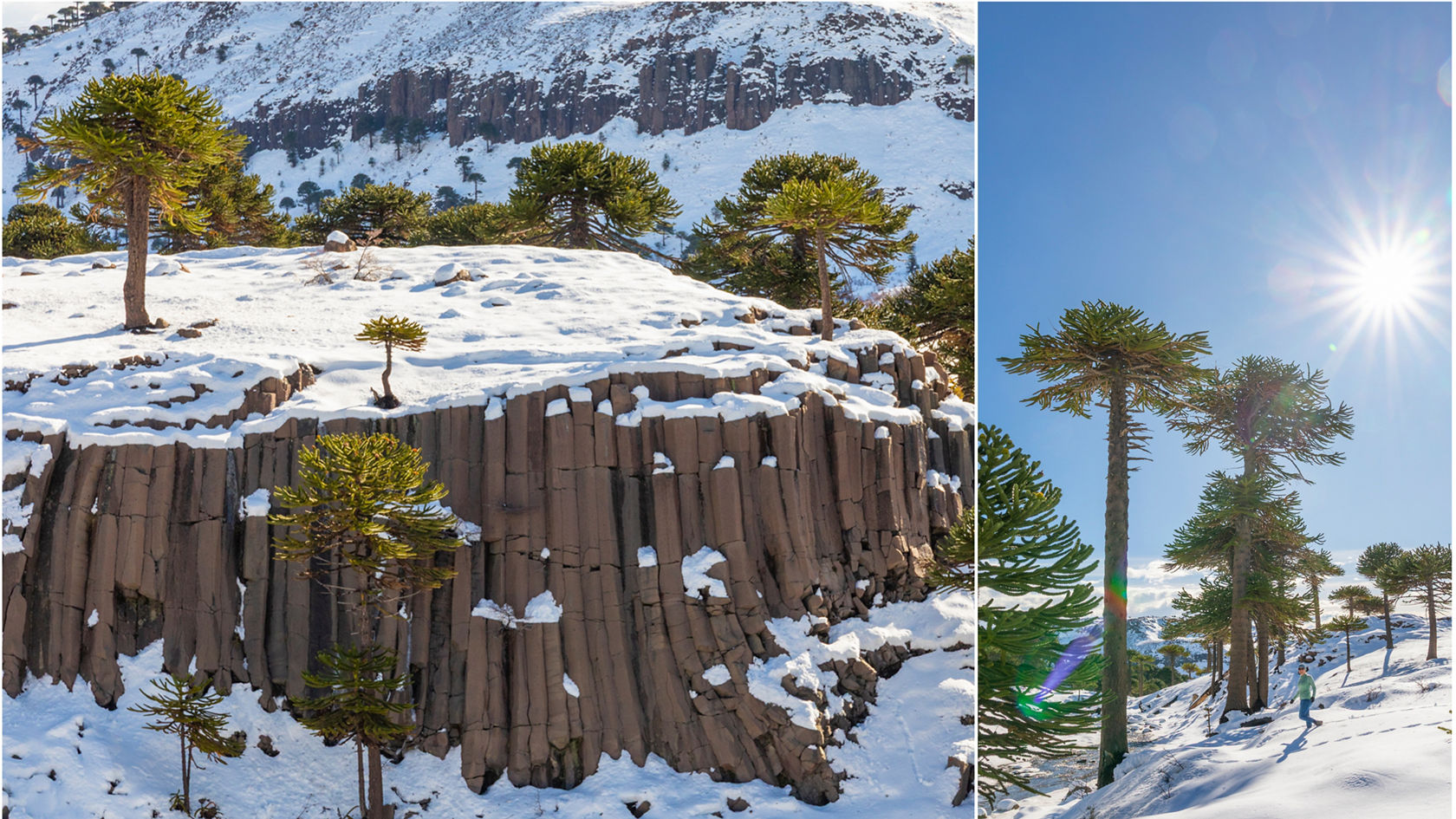 skrze-zemi-extrémů-s-axorem