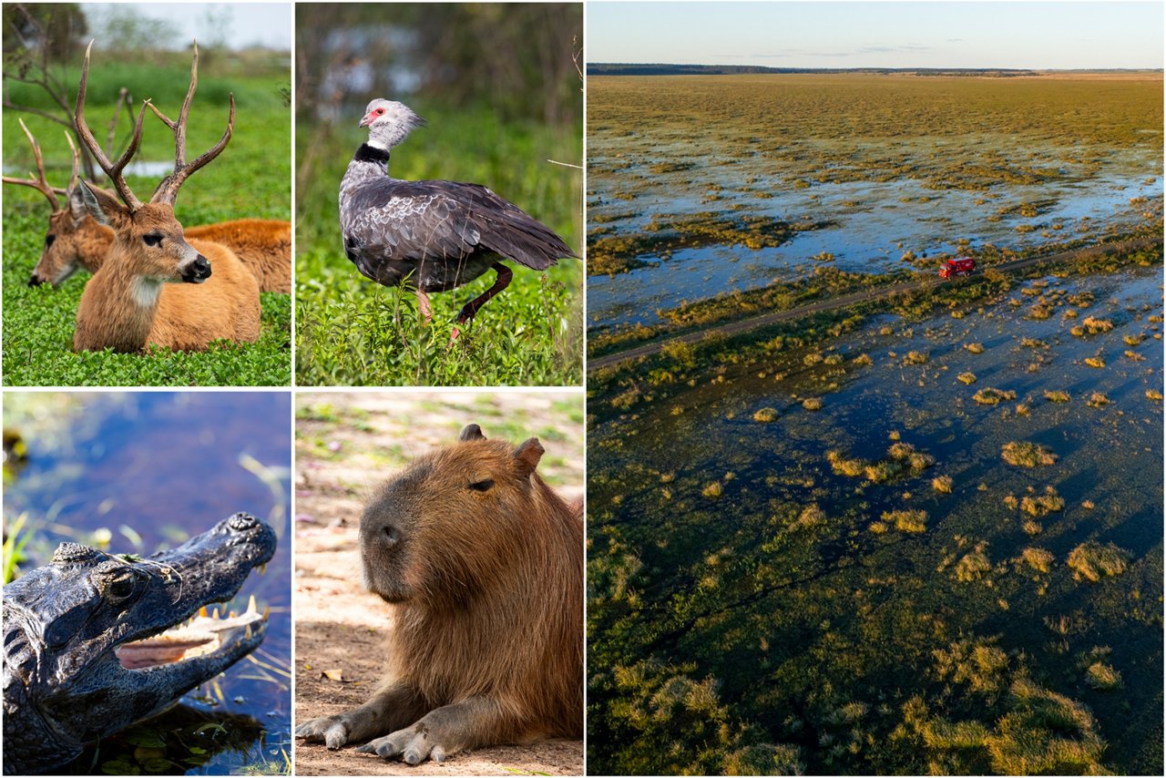 po-zemi-extrémů-s-Axorem