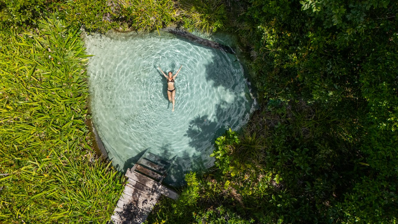 Trip into Nature's Paradise