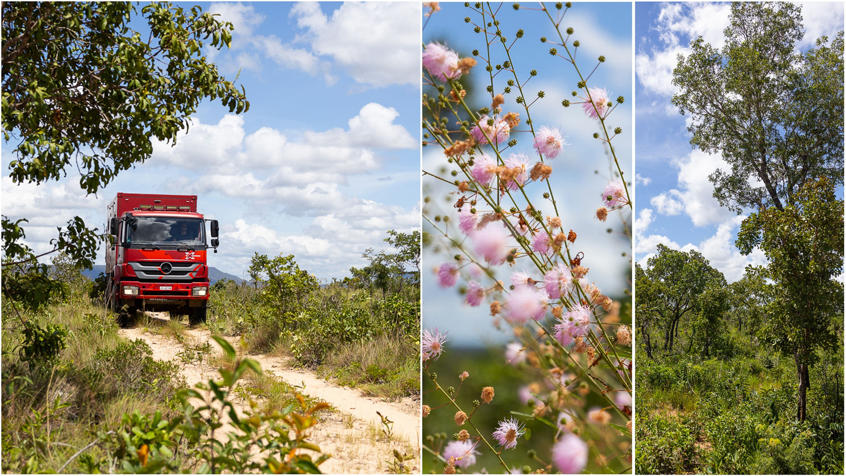 Trip into Nature's Paradise