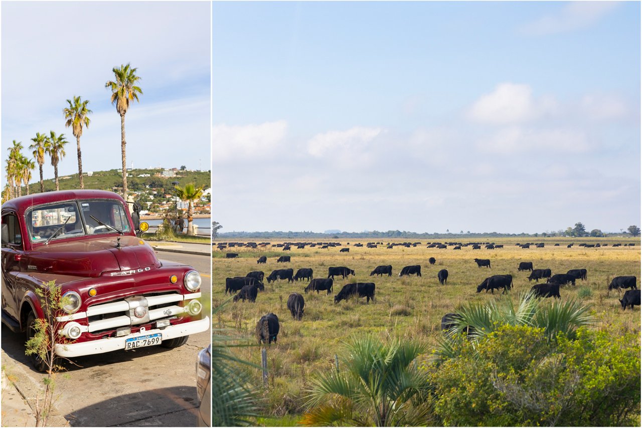 trip-to-uruguay