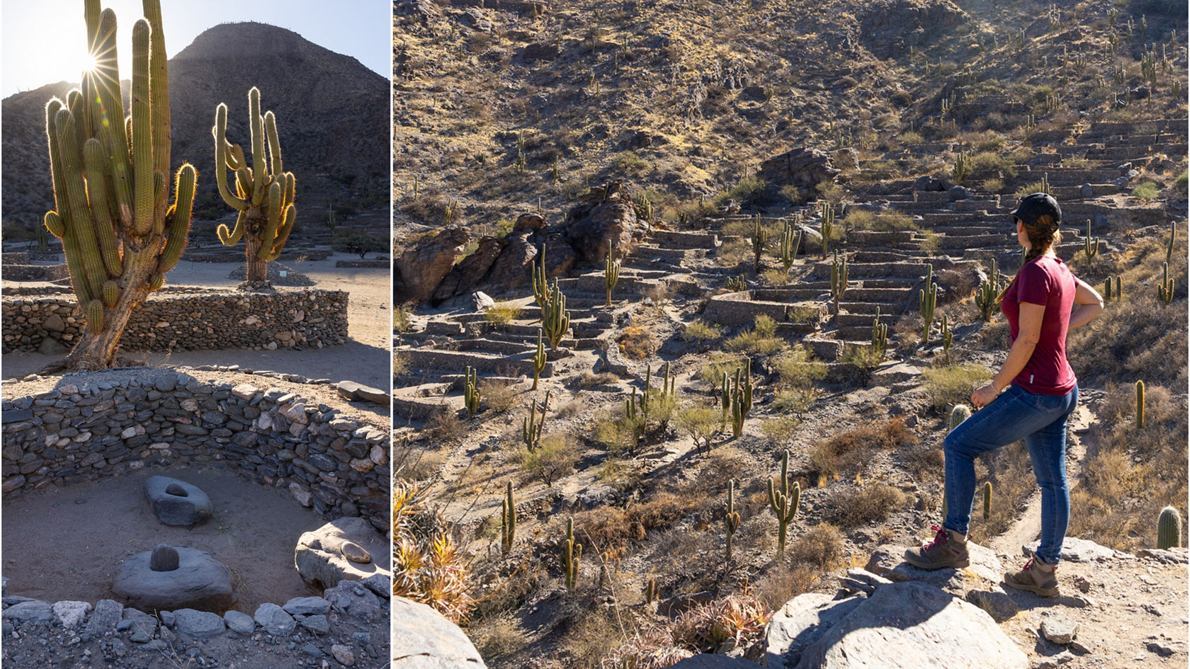 4-Xtremes – Part 83: Where cactuses grow higher than trucks