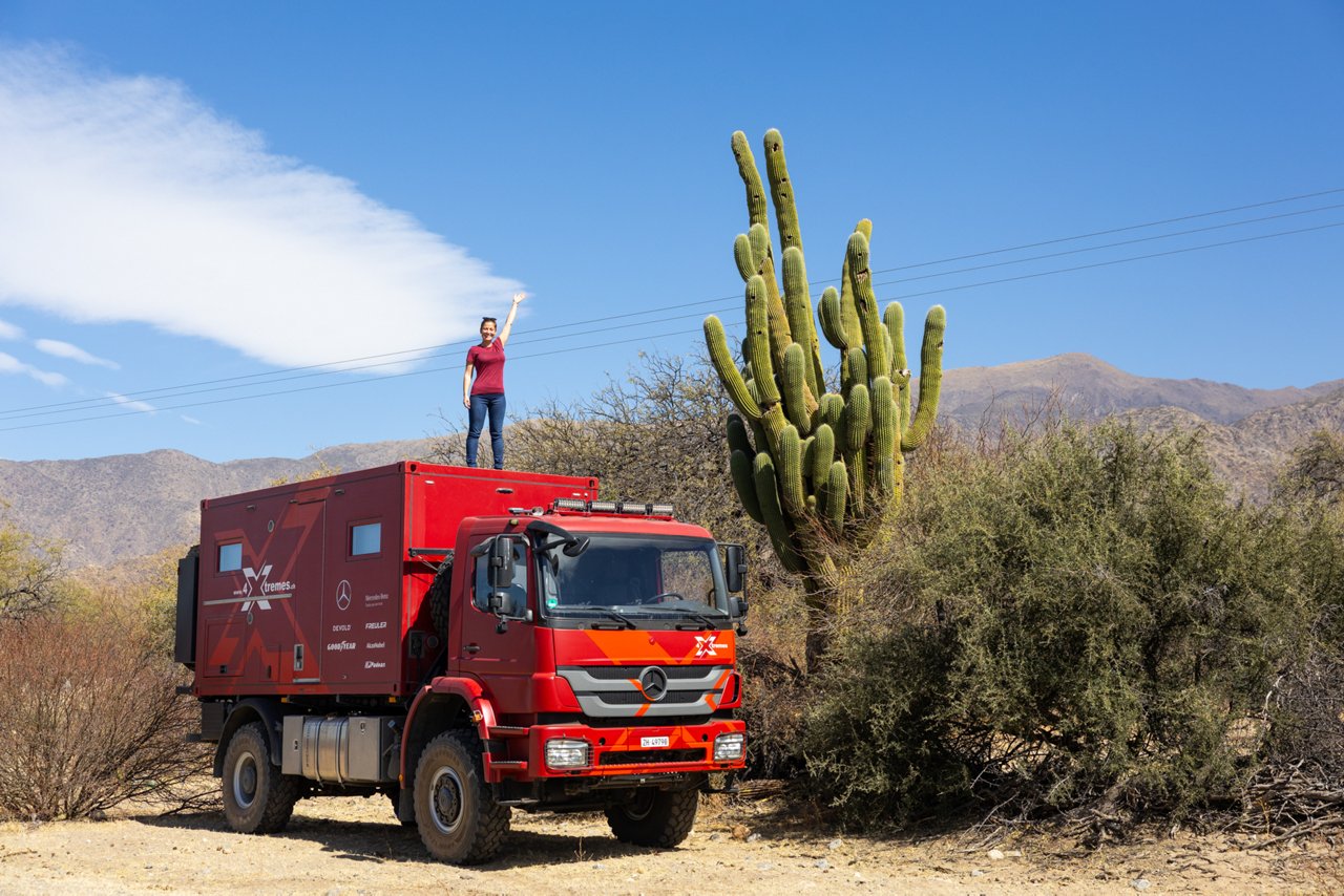 Waar cactussen hoger zijn dan vrachtwagens