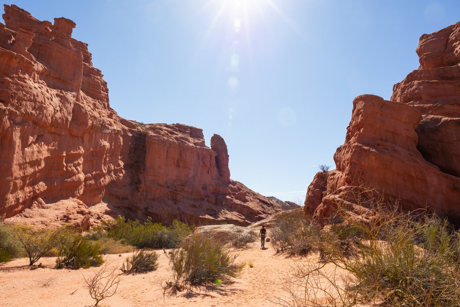 4-Xtremes – Part 83: Where cactuses grow higher than trucks