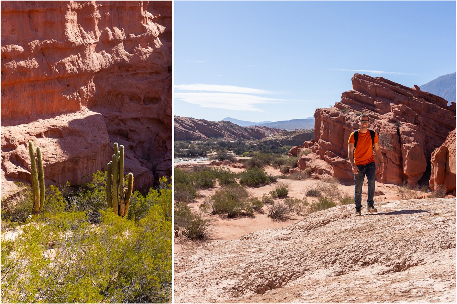 4-Xtremes – Part 83: Where cactuses grow higher than trucks
