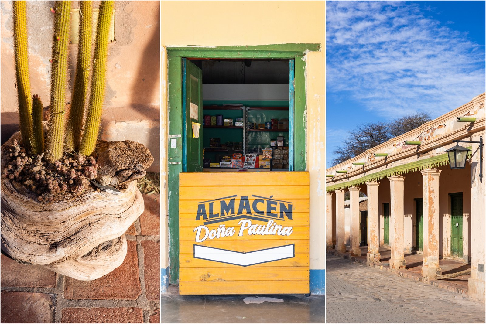 4-Xtremes – Part 83: Where cactuses grow higher than trucks