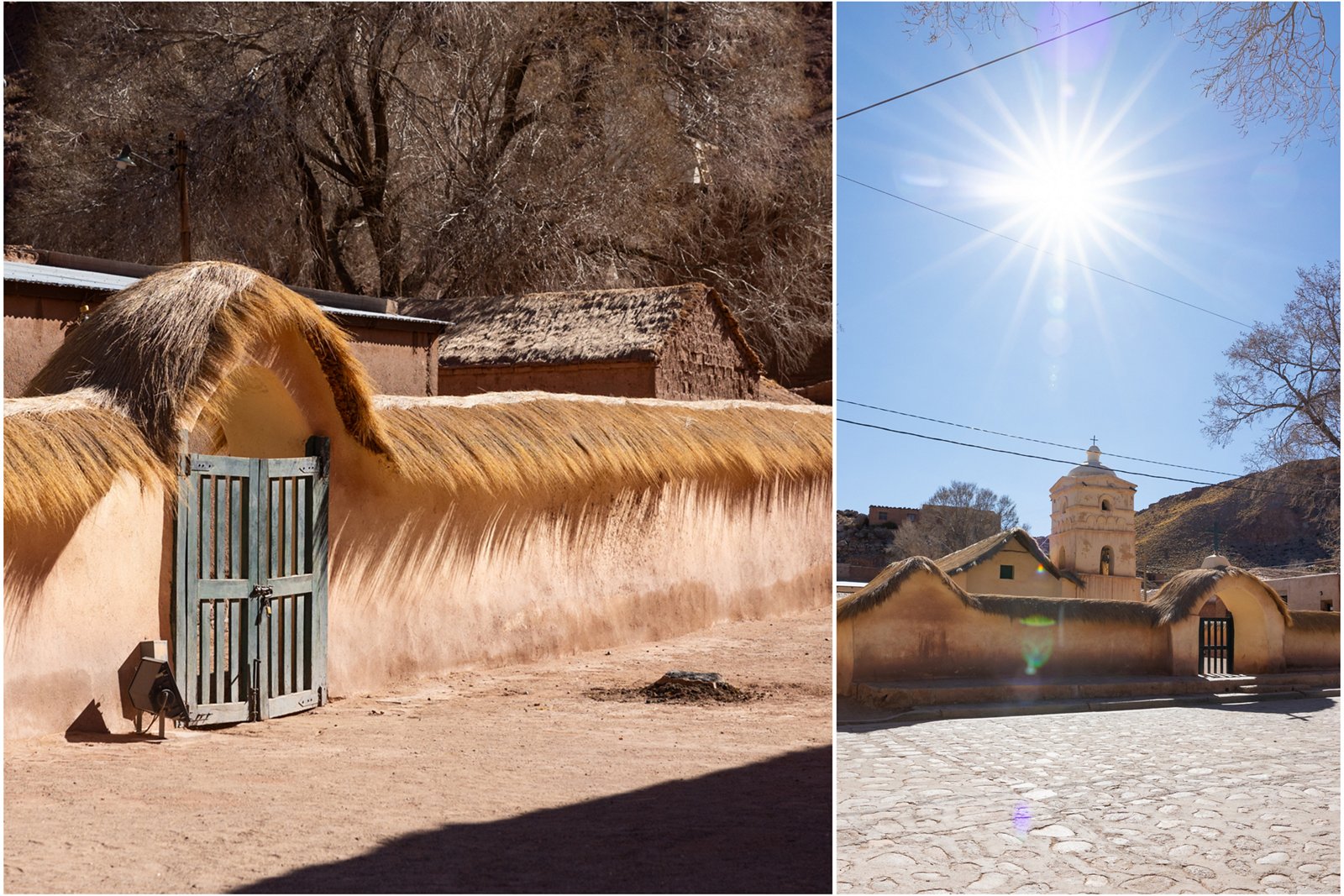 4-Xtremes – Part 83: Where cactuses grow higher than trucks