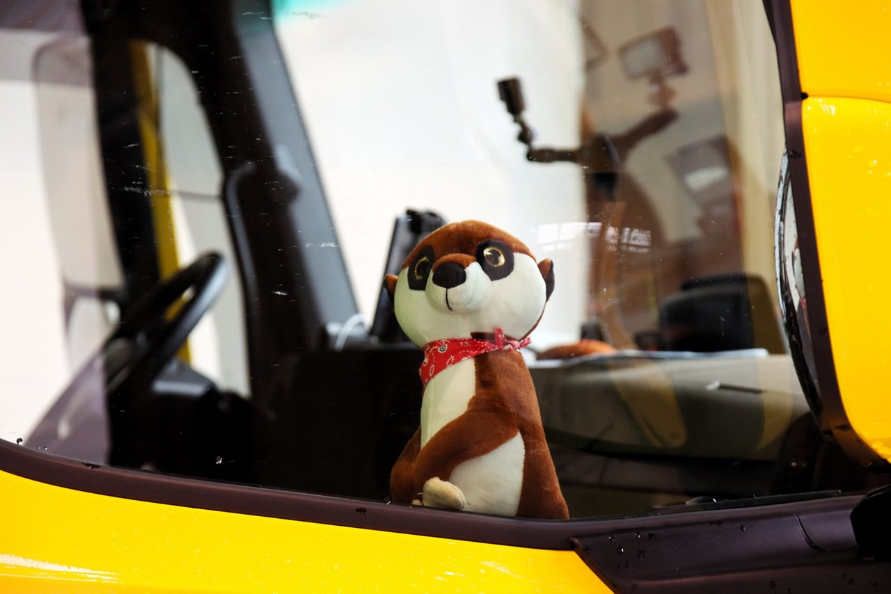 „Manne“ das kleine Stoff-Erdmännchen sitzt im Fenster